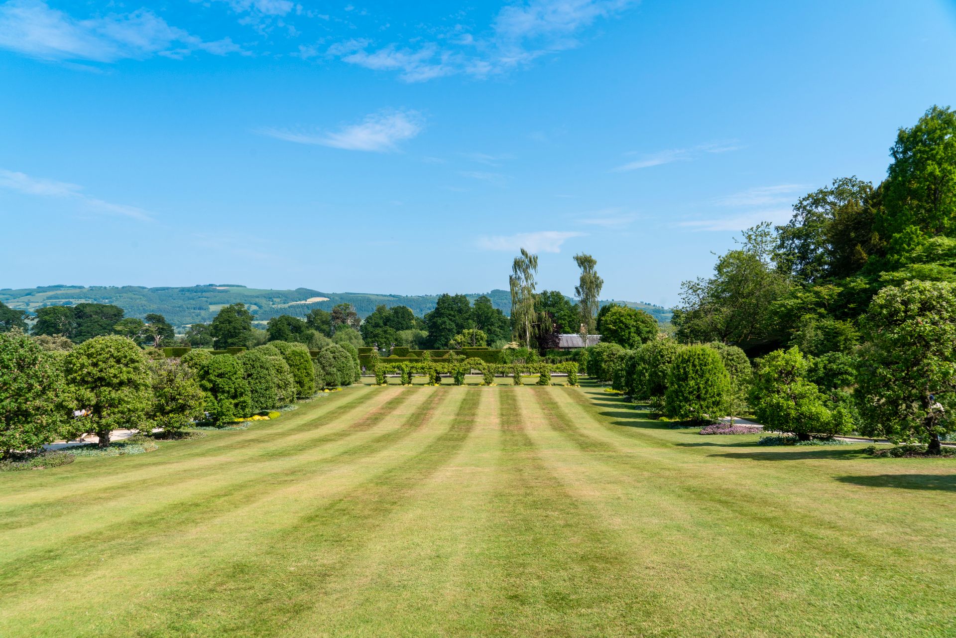 Wide striped lawn framed by trimmed shrubs and rolling hills